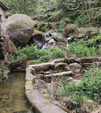 Casa De Corvete - Alojamanto Turismo Rural Felgueiras